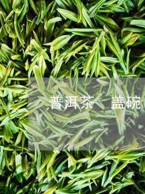 普洱茶 盖碗/2023042935117